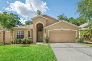 30719 Midtown Ct, Wesley Chapel, FL 33545, Sold 06/13/22