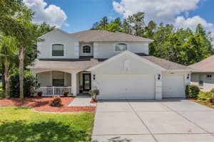 15908 LEATHERLEAF LN, LAND O LAKES, FL 34638 Sold 07/07/22