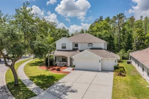 15908 LEATHERLEAF LN, LAND O LAKES, FL 34638 Sold 07/07/22