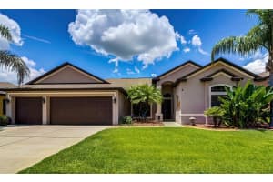 10813 RAIN LILLY PASS, LAND O LAKES, FL 34638 Sold 07/15/22