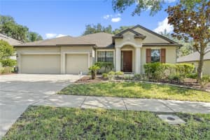 12712 CHARITY HILL CT, RIVERVIEW, FL 33569 Sold 07/12/22