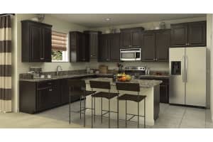 2113 CERULEAN SKY WAY, ODESSA, FL 33556 Sold 12/16/22