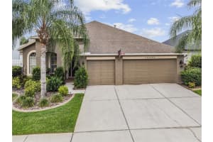 16333 NIKKI LN, ODESSA, FL 33556 Sold 08/15/22