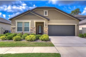 11314 AMERICAN HOLLY DR, RIVERVIEW, FL 33578 Sold 07/12/22