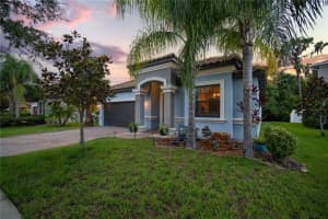 11858 FROST ASTER DR, RIVERVIEW, FL 33579 Sold 07/12/22