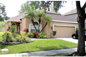 11638 GREENSLEEVE AVE, TAMPA, FL 33626 Sold 07/08/22