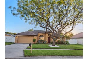 14916 REDCLIFF DR, TAMPA, FL 33625 Sold 08/19/22