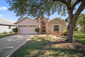 7136 COLONY POINTE DR, RIVERVIEW, FL 33578 Sold 08/08/22