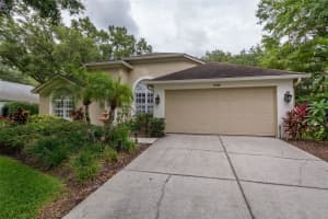 15209 ARBOR HOLLOW DR, ODESSA, FL 33556 Sold 07/01/22