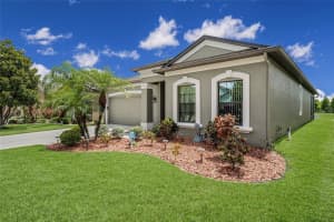 11419 BLUE CRANE ST, RIVERVIEW, FL 33569 Sold 08/12/22