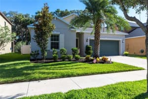14271 BLUE DASHER DR, RIVERVIEW, FL 33569 Sold 08/11/22