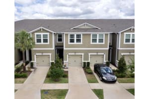 11750 CAMBIUM CROWN DR, RIVERVIEW, FL 33569 Sold 08/22/22
