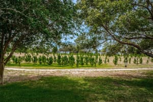 14118 Shoal Dr, Hudson, FL 34667, Sold 06/24/22