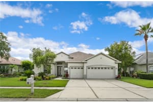 3115 BOWFIN DR, LAND O LAKES, FL 34639 Sold 02/27/23