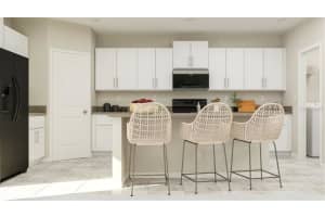 9922 CALYPSO ORCHID CT, RIVERVIEW, FL 33578 Sold 12/22/22