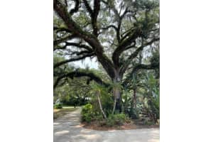 2804 PEMBERTON CREEK DR, SEFFNER, FL 33584 Sold 07/25/22