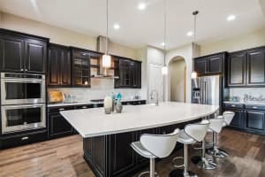 17920 BRAMSHOT PL, LUTZ, FL 33559 Sold 07/22/22