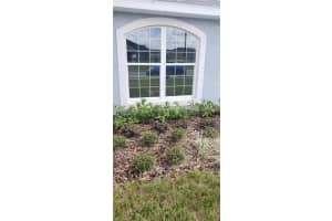 11626 SUNDER BERRY ST, HUDSON, FL 34667 Sold 01/18/23