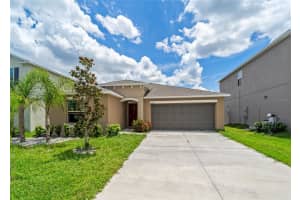 10122 CRESTED FRINGE DR, RIVERVIEW, FL 33578 Sold 08/26/22