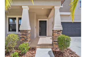 11705 WINTERSET COVE DR, RIVERVIEW, FL 33579 Sold 04/14/23