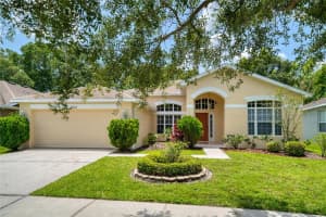 8922 N RIVER RD, TAMPA, FL 33635 Sold 07/22/22
