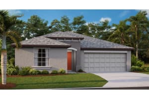 10315 BLUE PLUME CT, RIVERVIEW, FL 33579 Sold 10/05/22