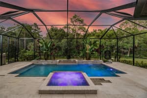 20009 UMBRIA HILL DR, TAMPA, FL 33647 Sold 09/16/22
