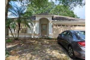 1316 BRAHMA DR, VALRICO, FL 33594 Sold 07/29/22