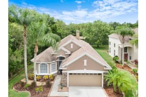 11602 GREENSLEEVE AVE, TAMPA, FL 33626 Sold 08/03/22