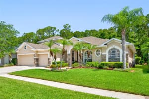 14721 CORAL BERRY DR, TAMPA, FL 33626 Sold 07/13/22