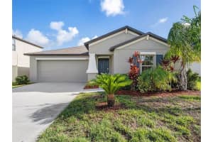 10028 ROSE PETAL PL, RIVERVIEW, FL 33578 Sold 03/21/23