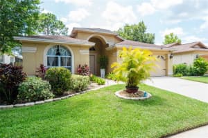 6111 BECKLIN PL, RIVERVIEW, FL 33578 Sold 08/19/22