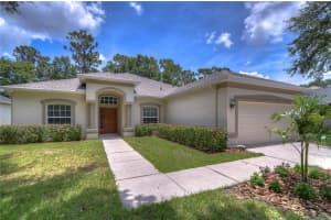 12810 CATTAIL SHORE LN LN, RIVERVIEW, FL 33579 Sold 08/01/22