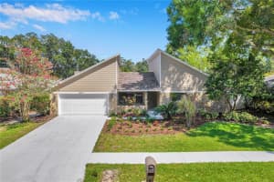 14207 Ashburn Pl, TAMPA