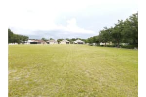 1035 NASHVILLE DRIVE, WESLEY CHAPEL, FL 33544 - MLS#MFRT3381944