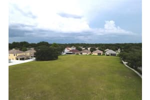 1035 NASHVILLE DRIVE, WESLEY CHAPEL, FL 33544 - MLS#MFRT3381944