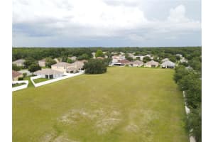 1035 NASHVILLE DRIVE, WESLEY CHAPEL, FL 33544 - MLS#MFRT3381944