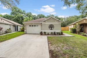 11123 LAKE TAHOE DR, RIVERVIEW, FL 33569 Sold 10/19/22