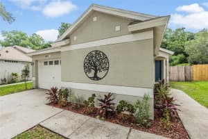 11123 LAKE TAHOE DR, RIVERVIEW, FL 33569 Sold 10/19/22