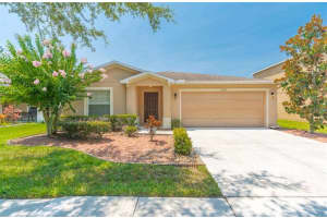 31028 TEMPLE STAND AVE, WESLEY CHAPEL, FL 33543 Sold 09/15/22
