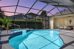 19313 PIER POINT CT, LUTZ, FL 33558 Sold 08/04/22