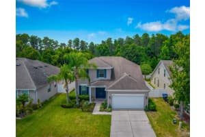 5377 SHASTA DAISY PL, LAND O LAKES, FL 34639 Sold 08/29/22