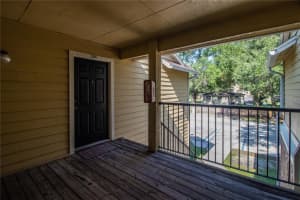 8603 FANCY FINCH DR #203, TAMPA, FL 33614 Sold 08/10/22