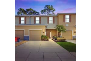 13917 RIVER WILLOW PL, TAMPA, FL 33637 Sold 08/03/22
