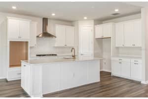 14138 SOMOA HILL CT, RIVERVIEW, FL 33569 Sold 02/24/23