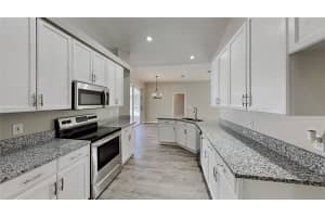 4308 BUCKHORN GROVES CT, VALRICO, FL 33596 Sold 10/19/22