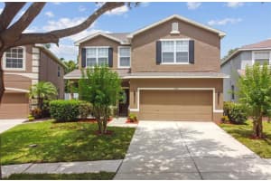 11164 CREEK HAVEN DR, RIVERVIEW, FL 33569 Sold 09/16/22