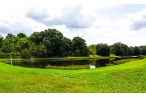12424 CEDARFIELD DR, RIVERVIEW, FL 33579 Sold 11/14/22