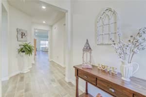 11703 TETRAFIN DR, RIVERVIEW, FL 33579 Sold 11/30/22