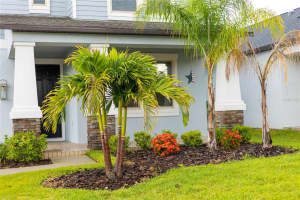 10630 BAHAMA WOODSTAR CT, RIVERVIEW, FL 33579 Sold 08/31/22